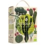 Pizzolato Vino Bianco Organic Vegan 3L | Italian White Wine Bag-in-Box