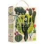 Pizzolato Vino Bianco Organic Vegan 3L | Italian White Wine Bag-in-Box
